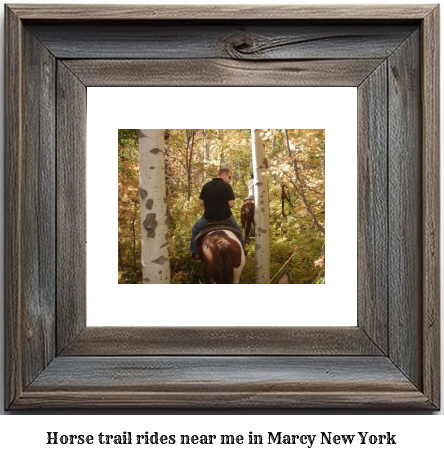 horse trail rides near me in Marcy, New York